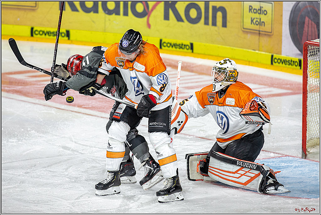 DEL Koelner Haie - Grizzlys Wolfsburg, 23.09.2018